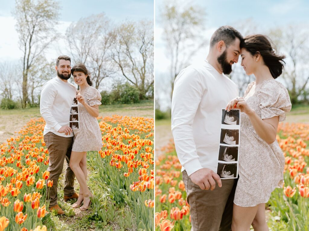 Tulip field maternity photos of a young couple at the Kuipers Midwest Tulip Fest