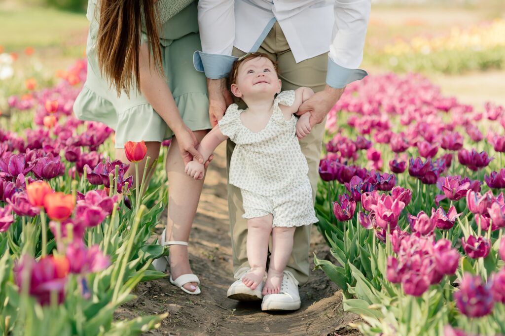 Baby standing on father's toes and looking up at both parents in a pink tulip field.