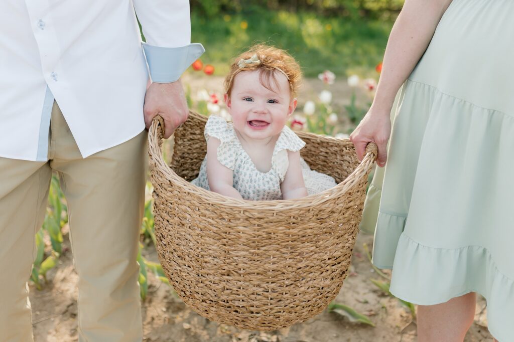 Mother and father holding up a basket with their baby inside amidst the tulips.